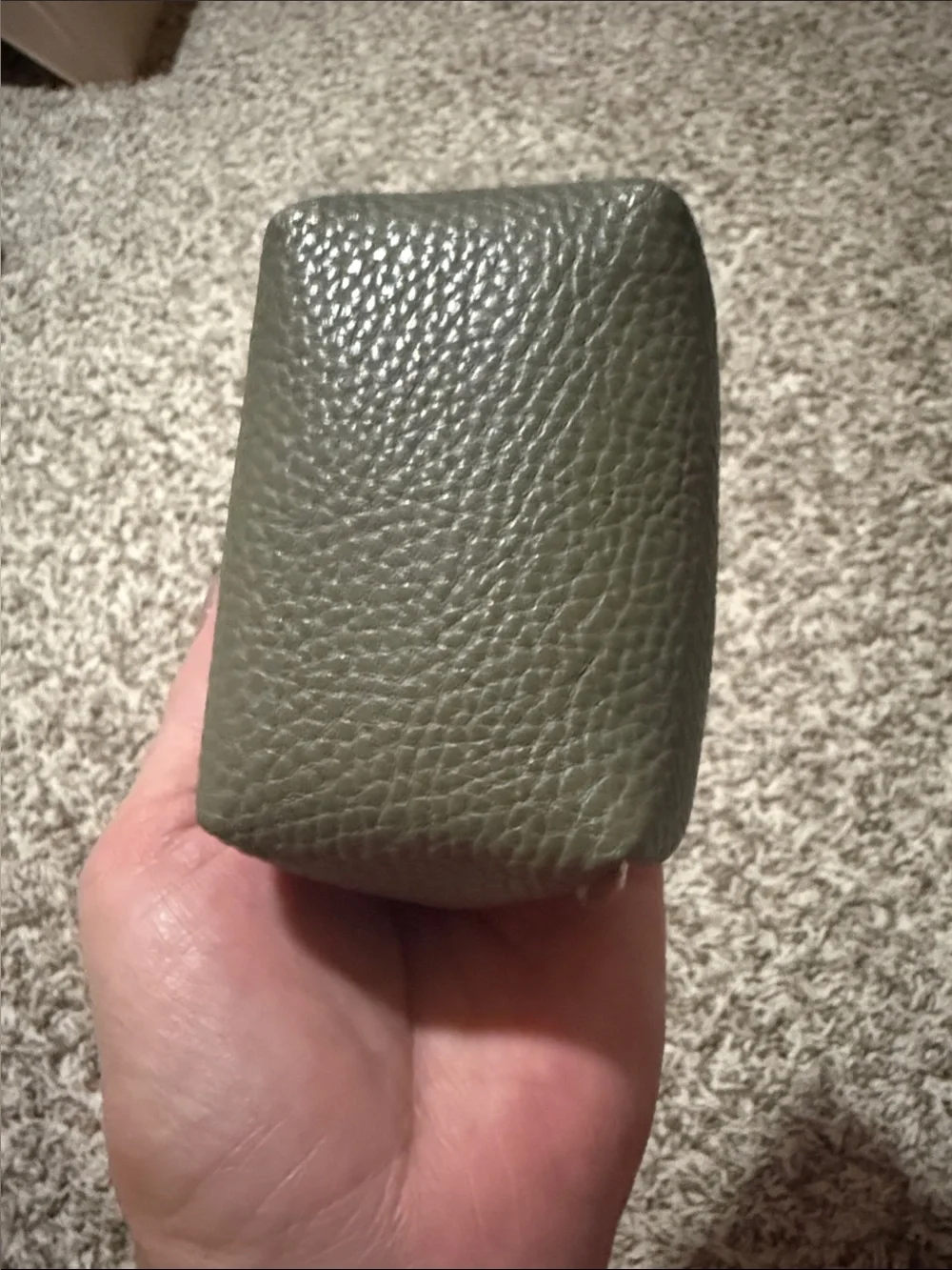 Steven Madden Mini Coin Pouch In Olive Green